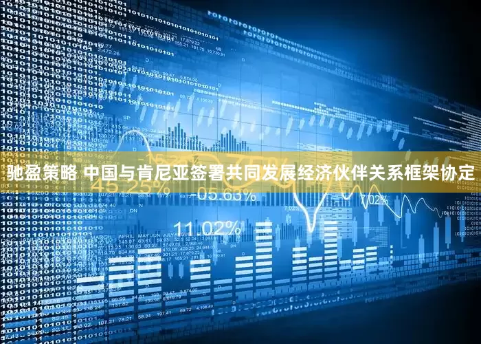 驰盈策略 中国与肯尼亚签署共同发展经济伙伴关系框架协定