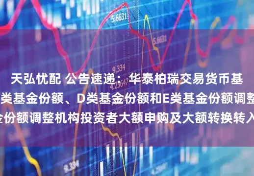 天弘忧配 公告速递：华泰柏瑞交易货币基金B类基金份额、C类基金份额、D类基金份额和E类基金份额调整机构投资者大额申购及大额转换转入业务金额限制